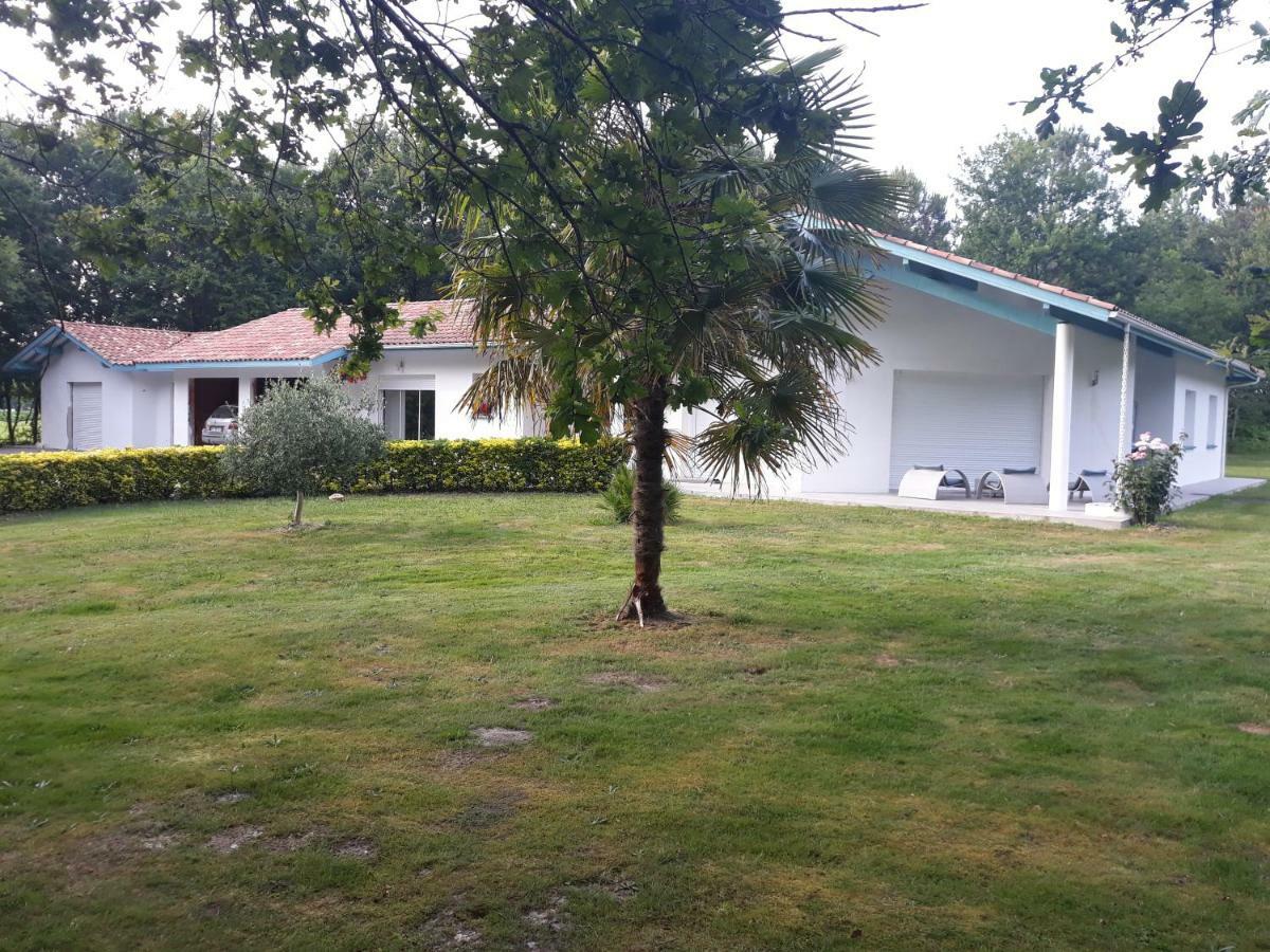 Chambre D'Hotes Du Pin Pey Exterior photo